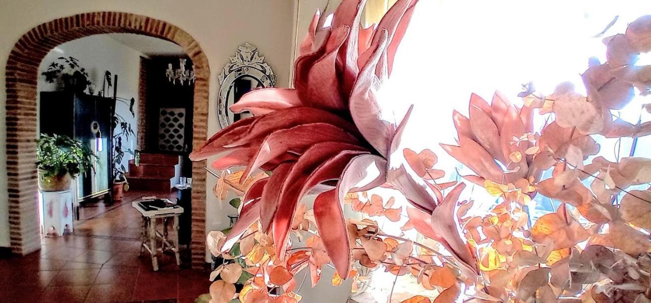 Puente Country house *