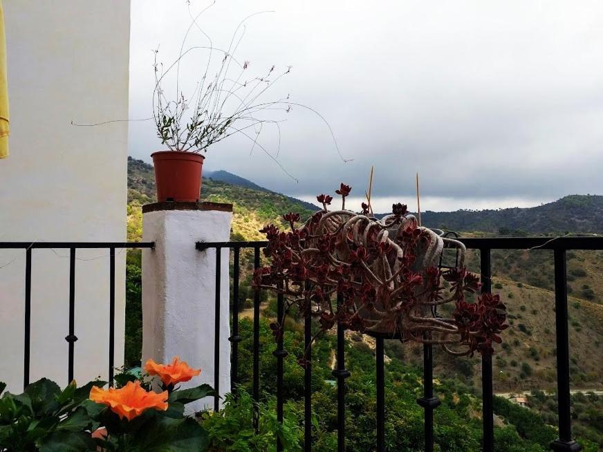 Country house Puente *